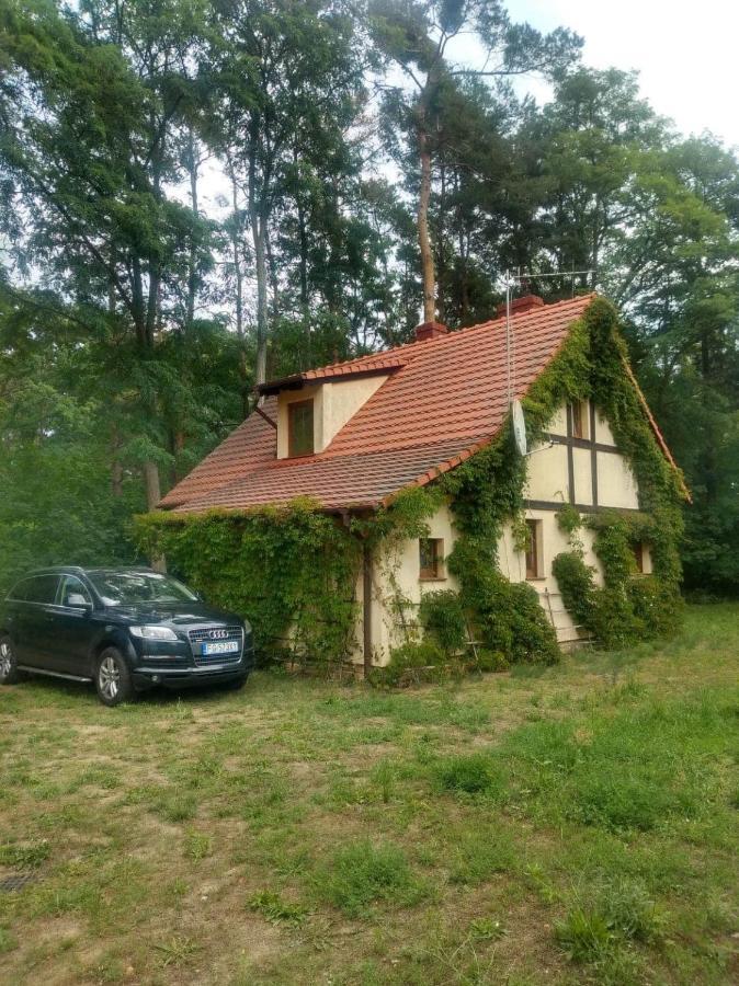 Zolty Domek Nad Jeziorem Lubniewice Exterior foto